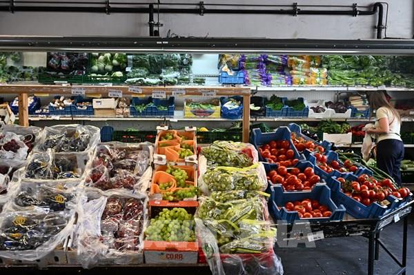 Ủy ban châu Âu hạ dự báo tăng trưởng năm 2026 của Eurozone