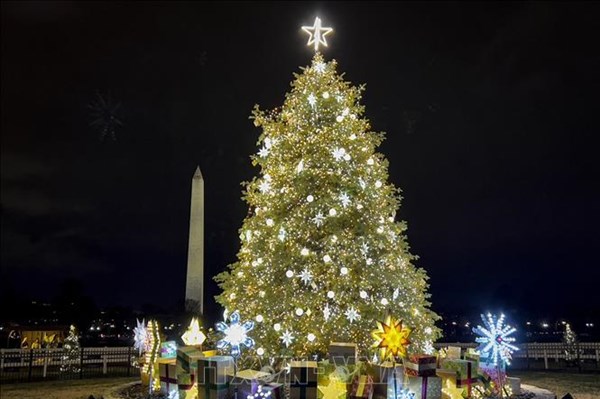 Cây thông tại Mỹ mùa Giáng Sinh năm nay cũng sẽ đắt đỏ hơn do thuế quan