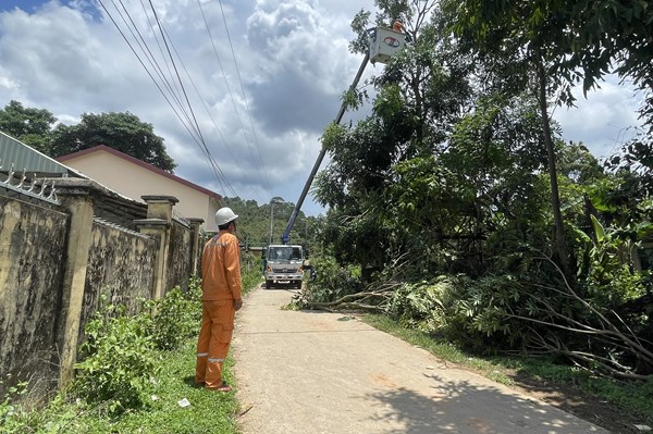Lịch tạm ngừng cấp điện Quảng Ngãi ngày mai 24/11