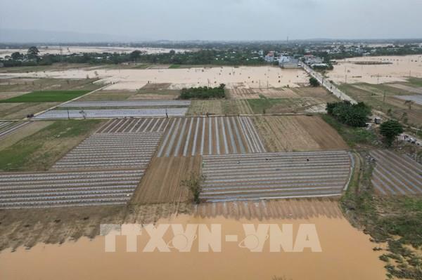 Đà Nẵng phân bổ hơn 76 tỷ đồng cho 62 xã, phường khắc phục hậu quả thiên tai