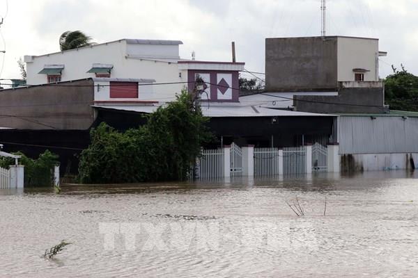 Khôi phục nuôi trồng thủy sản sau mưa lũ lịch sử tại Khánh Hoà