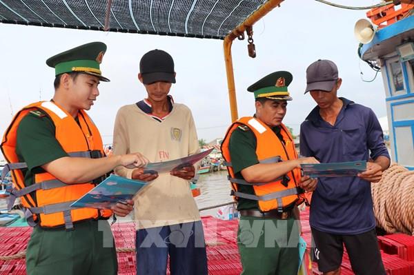 Khắc phục “thẻ vàng” IUU: “Lá chắn thép” tại Cảng cá Định An