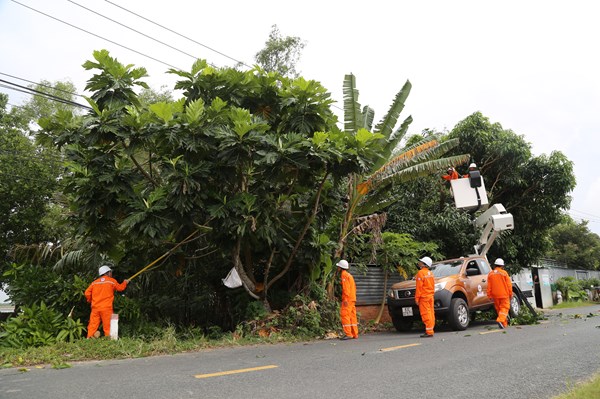 Lịch cắt điện Cần Thơ ngày mai 29/11 cập nhật mới nhất