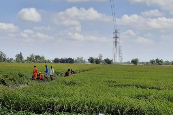 Lịch cắt điện Cần Thơ ngày mai 14/12 cập nhật mới nhất