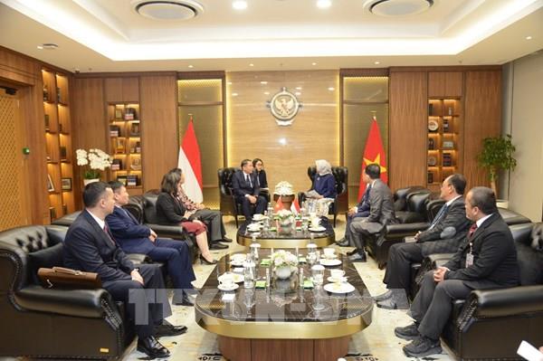 Tăng cường hợp tác kiểm toán Việt Nam - Indonesia phát triển, hiệu quả