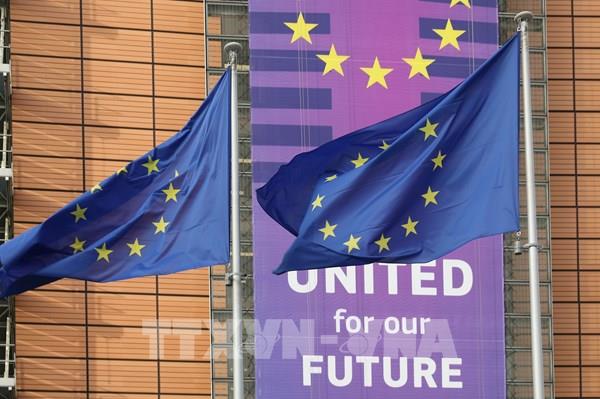 EU thúc đẩy chiến lược kỹ thuật số quốc tế