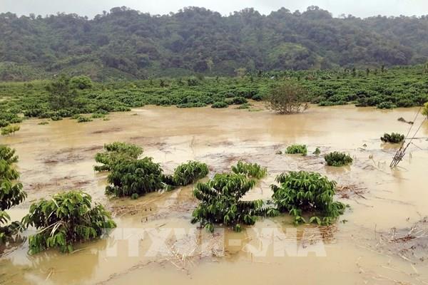 Vận hành hồ chứa đúng quy trình, giảm thiểu thiệt hại cho vùng hạ du