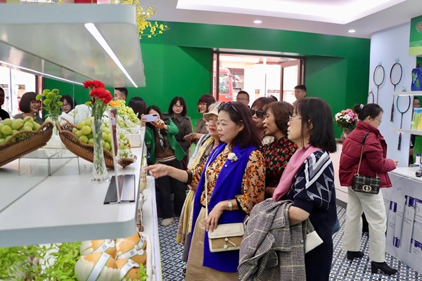 Lan tỏa nhận thức tiêu dùng thông minh từ Phòng trưng bày hàng thật – hàng giả ﻿