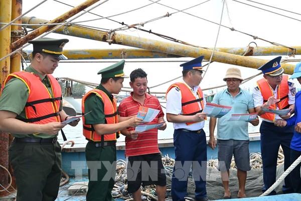 TP. Hồ Chí Minh siết chặt quản lý đội tàu, nâng cao ý thức ngư dân về IUU