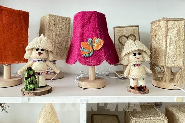 Chàng trai Đồng Tháp biến xơ mướp thành sự nghiệp