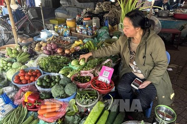 TP. Hồ Chí Minh giữ bình ổn giá rau củ giữa biến động nguồn cung