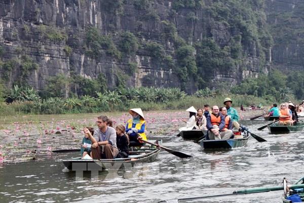 Sắc hồng Tam Cốc thu hút đông đảo du khách trong nước và quốc tế