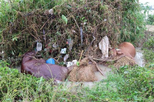 Thành phố Hồ Chí Minh lập 5 tổ công tác y tế chi viện Đắk Lắk