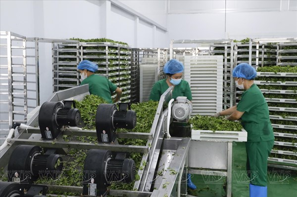 Kết nối công nghệ số và xanh từ đơn vị nghiên cứu vào doanh nghiệp Việt