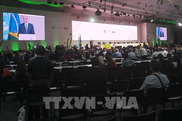 COP30 khép lại với các cam kết về khí hậu, tài chính và rừng nhiệt đới