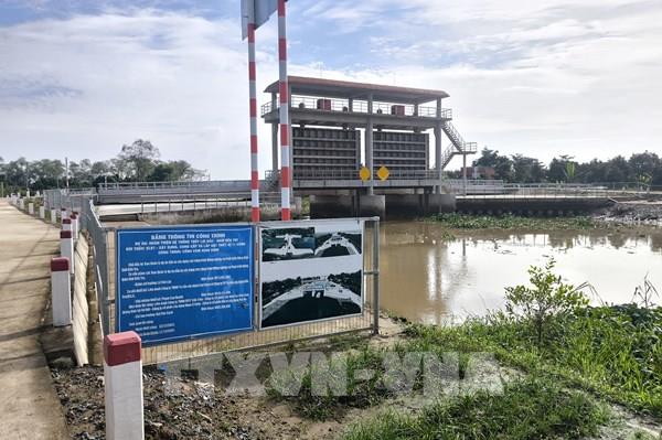 Người dân Chợ Lách mong sớm vận hành cống ngăn mặn bảo vệ vườn cây đặc sản