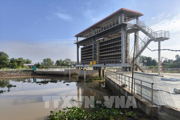  Xâm nhập mặn hiện chưa ảnh hưởng tới vùng Đồng bằng sông Cửu Long