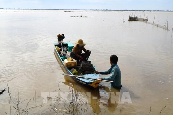 Mùa nước rút, ngư dân miền Tây vào vụ đánh bắt cuối