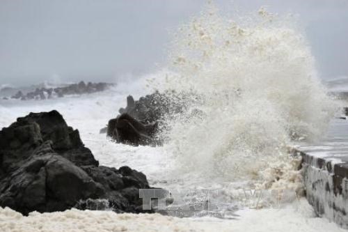 Từ Quảng Trị đến An Giang chủ động ứng phó với áp thấp nhiệt đới gần Biển Đông