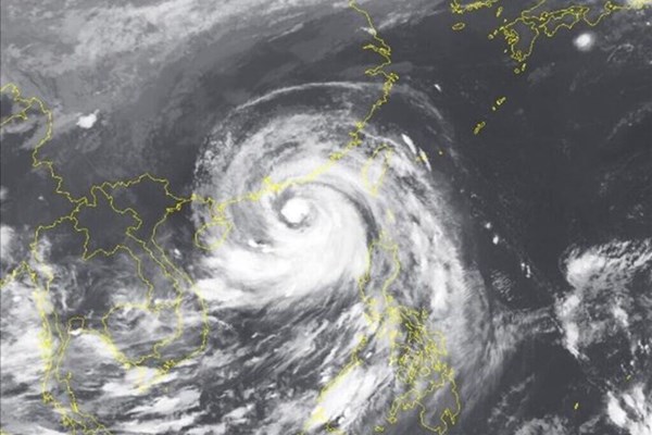 Vùng áp thấp trên vùng biển phía Đông Philippines đã mạnh lên thành áp thấp nhiệt đới