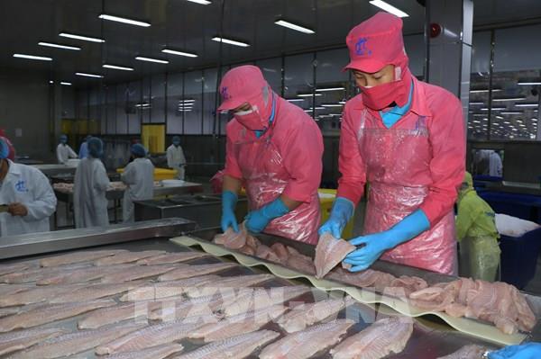 Mục tiêu 2 tỷ USD: Động lực mới cho ngành thủy sản Đồng Tháp