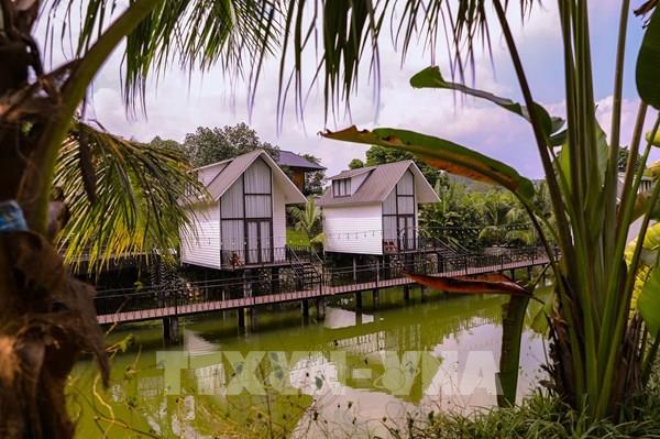 Sức sống mới ở làng quê Việt 