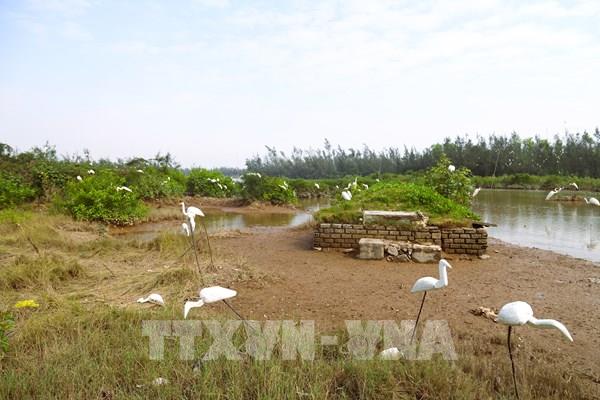 Nghệ An “nóng” thực trạng bẫy, bắt chim hoang dã, chim di cư