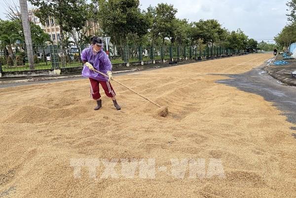 Người dân vùng lũ Đắk Lắk chung tay vượt lên khó khăn