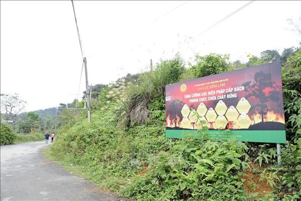 Cần cơ chế tài chính bền vững cho phát triển rừng Hà Nội