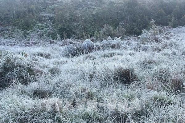 Sương muối, băng tuyết xuất hiện ở nhiều khu vực vùng cao Lào Cai