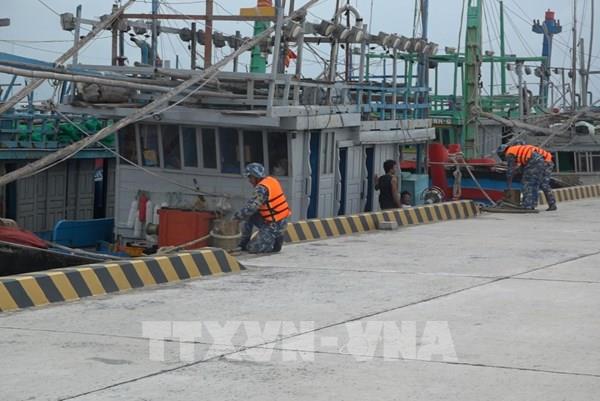 Bão số 15 có 2 kịch bản, hướng di chuyển còn khó lường