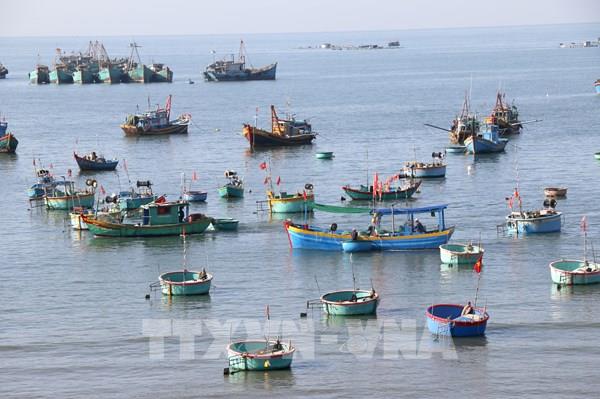 Bão số 15 áp sát, Lâm Đồng kích hoạt ứng phó khẩn cấp