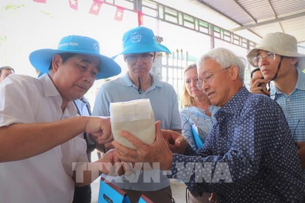 Đề xuất WB hỗ trợ “tín dụng xanh” cho Đề án 1 triệu ha lúa