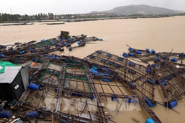  Tổng hợp nhu cầu giống, vật tư thủy sản sớm khôi phục sản xuất sau mưa lũ