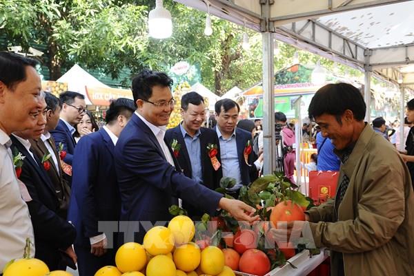 Hưng Yên: Đưa đặc sản cam đến gần hơn với người tiêu dùng Thủ đô