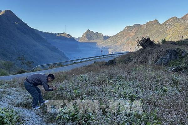 Bắc Bộ tiếp tục rét đậm, vùng núi cao có nguy cơ băng giá