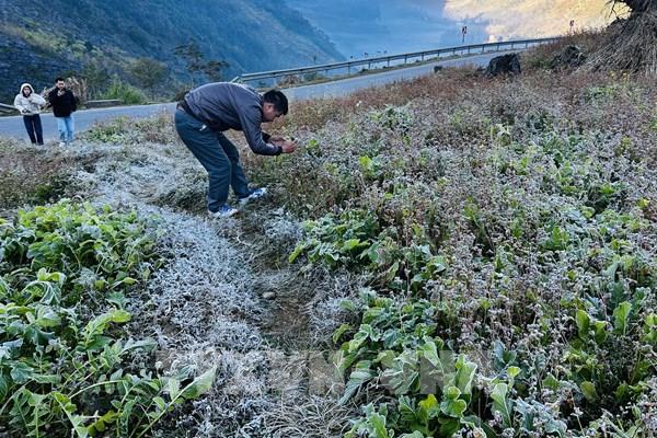 Sơn La cảnh báo rét đậm, rét hại kèm nguy cơ băng giá từ đêm 13/12