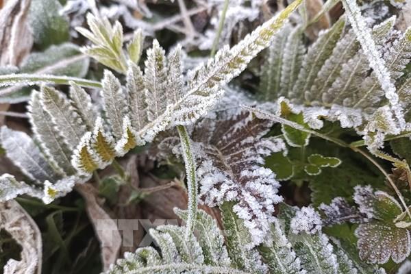 Vùng núi cao Bắc Bộ có thể xuất hiện băng giá, sương muối