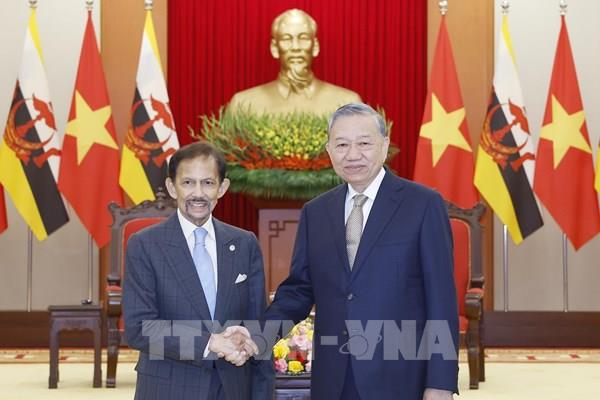 Tổng Bí thư Tô Lâm tiếp Quốc vương Brunei