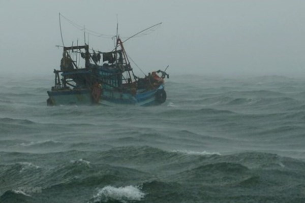 Dự báo ngày 3/12 áp thấp nhiệt đới suy yếu thành vùng áp thấp