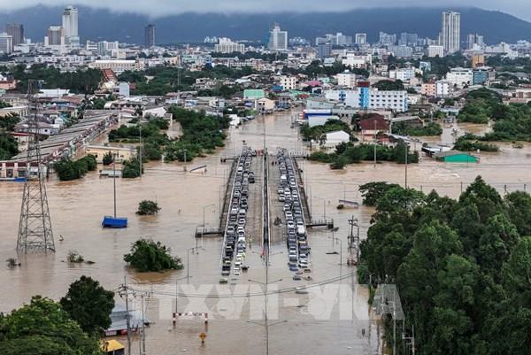 Ngành tôm Thái Lan ảnh hưởng nặng nề do lũ lụt