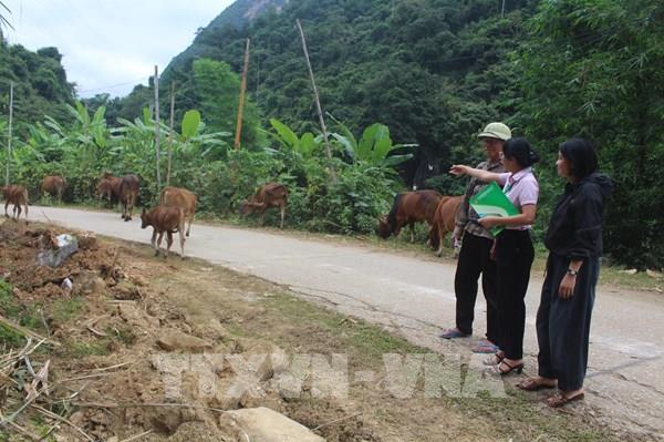 Nguồn vốn chính sách mở hướng làm ăn mới
