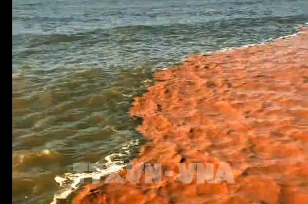 Hiện tượng hai màu nước kỳ lạ xuất hiện trên vùng biển Cà Mau