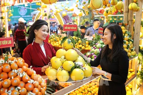 Lễ hội trái cây Bắc Ninh 2025 thúc đẩy tiêu thụ nông sản số