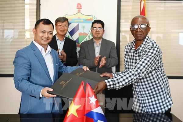 Doanh nghiệp Việt Nam đầu tư trồng điều ở Cuba