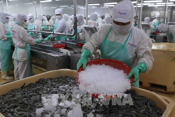 Nhận diện yếu tố đưa thủy sản cán mốc 11 tỷ USD