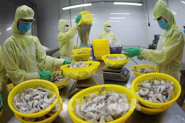 Xuất khẩu thuỷ sản có thể lập kỷ lục mới trong năm 2025