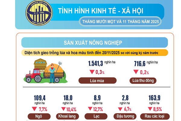 Infographics báo cáo tình hình kinh tế xã hội tháng 11 và 11 tháng năm 2025