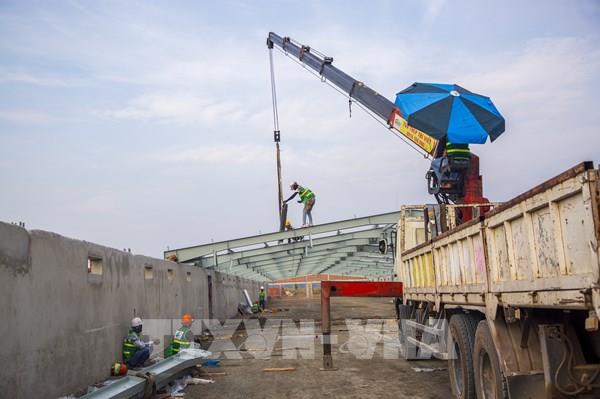 Khởi công Khu chăn nuôi ứng dụng công nghệ cao DHN Tây Ninh 4