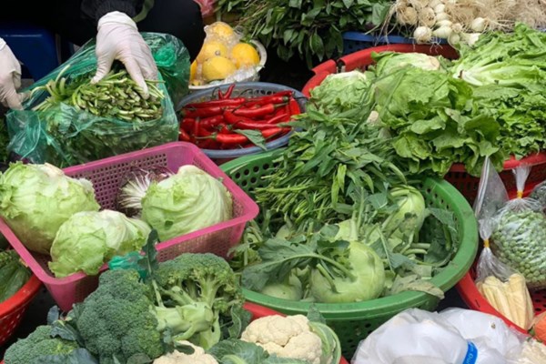 Giá rau xanh hạ nhiệt